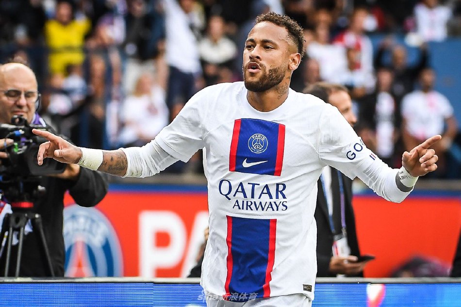 专家的关注 专家的关注